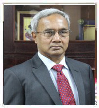 Professor Salim Rashid, Ph.D.